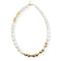 DENI NECKLACE|שרשרת קולר בציפוי זהב