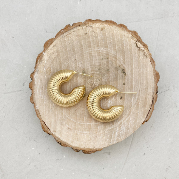 DARCIN| עגילים צמודים מצופים זהב